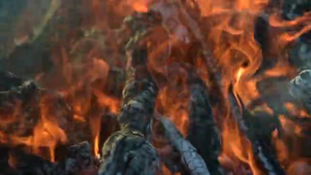 Camino caldo pieno di legna e fuoco con il suono — Video Stock