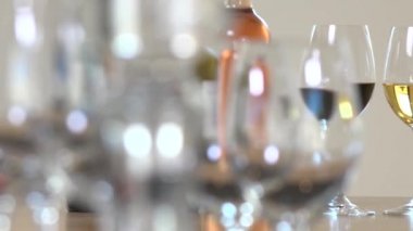 Bir kadın bir kadeh şarap tutuyor, turist şarap kavramı tatma