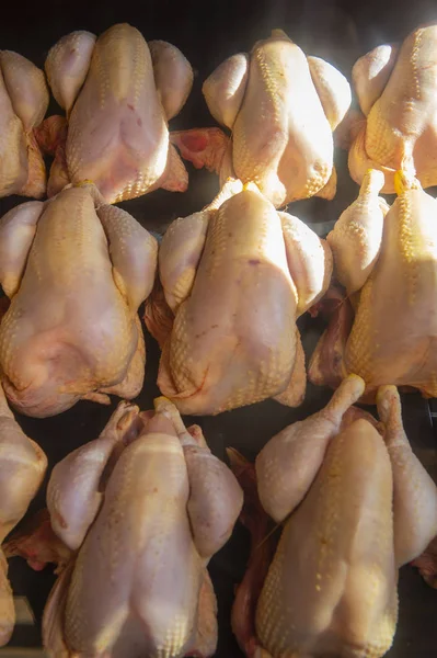 Lote Frango Cru Fresco Para Venda Uma Fazenda França — Fotografia de Stock