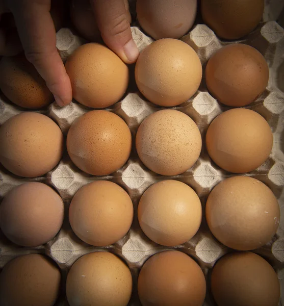 Bruna Ägg Kartong Broken Ägg Med Äggula Bakgrunden Frankrike — Stockfoto