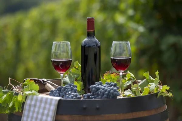 Pouring red wine into the glass, Barrel outdoor in Bordeaux Vineyard, France