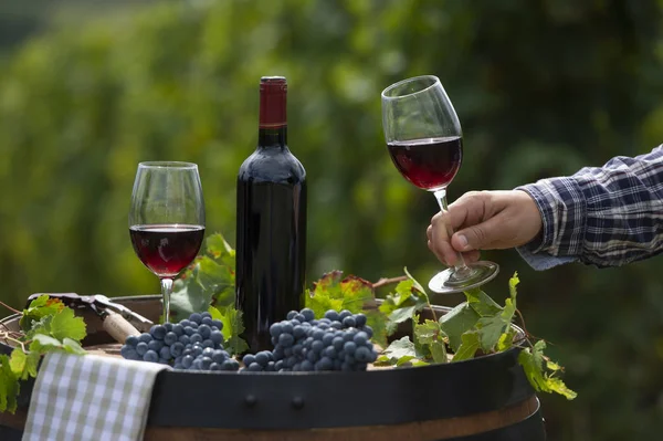 Pouring red wine into the glass, Barrel outdoor in Bordeaux Vineyard, France