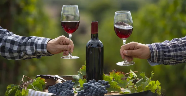 Kırmızı Şarap Cam Bordeaux Üzüm Bağı Fransa Açık Varil Içine — Stok fotoğraf