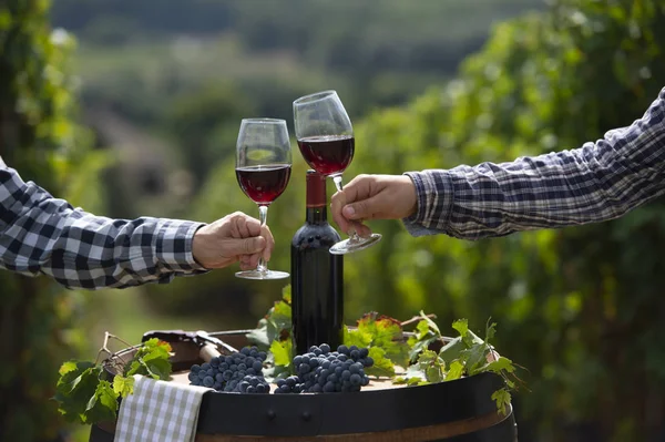 Despejando Vinho Tinto Copo Barrel Livre Bordeaux Vineyard França — Fotografia de Stock