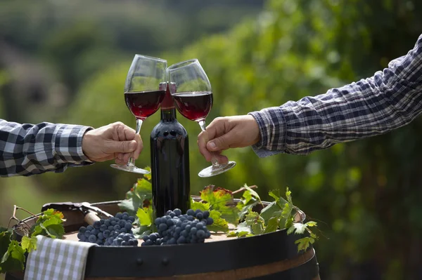 Kırmızı Şarap Cam Bordeaux Üzüm Bağı Fransa Açık Varil Içine — Stok fotoğraf