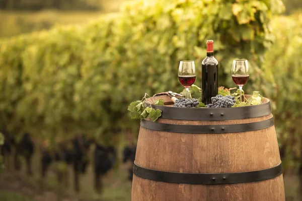 Despejando Vinho Tinto Copo Barrel Livre Bordeaux Vineyard França — Fotografia de Stock