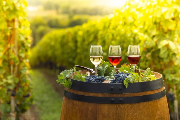 Pouring Red Wine Glass Barrel Outdoor Bordeaux Vineyard France — Stock Photo, Image
