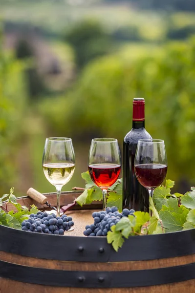Pouring Red Wine Glass Barrel Outdoor Bordeaux Vineyard France — Stock Photo, Image