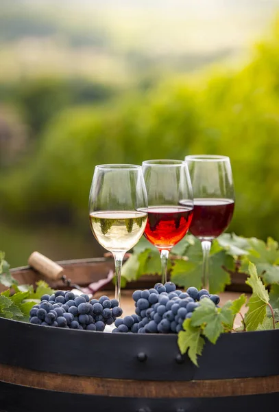 Verser Vin Rouge Dans Verre Baril Plein Air Bordeaux Vineyard — Photo
