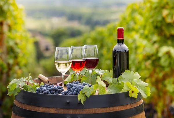 Pouring Red Wine Glass Barrel Outdoor Bordeaux Vineyard France — Stock Photo, Image