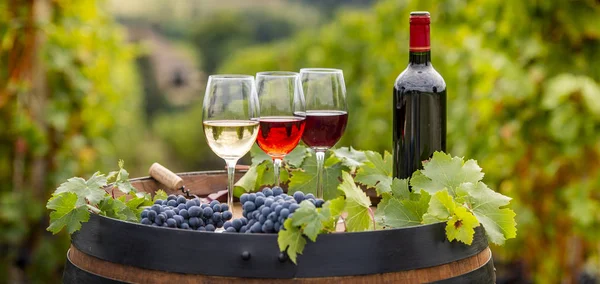 Pouring Red Wine Glass Barrel Outdoor Bordeaux Vineyard France — Stock Photo, Image