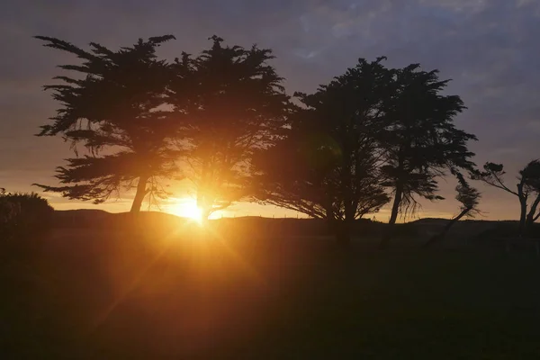 日落时的乡村花田 自然夏天背景 — 图库照片