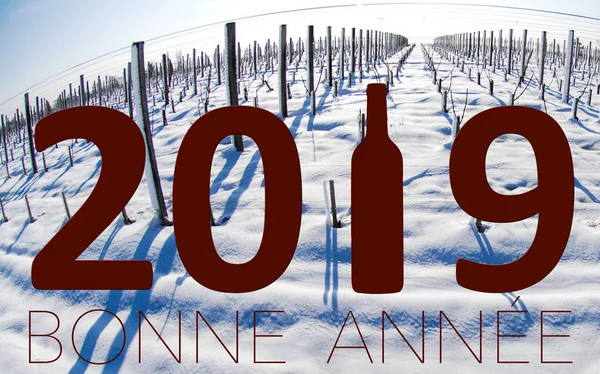 New Year Celebration with wine 2019
