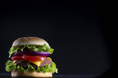 Burger, patates kızartması göğsü ile peynir ve domates, Fransa