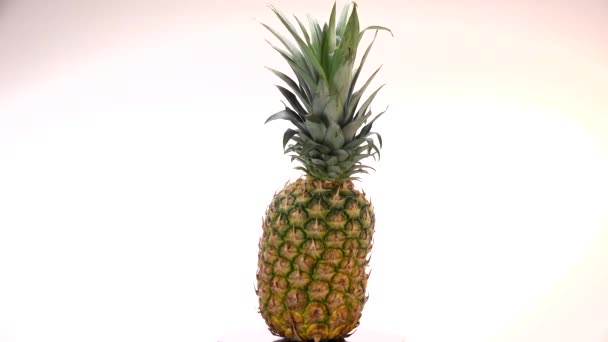 Verse ananas spinnen op witte achtergrond — Stockvideo