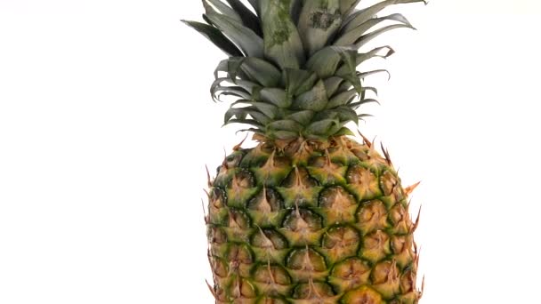 Verse ananas spinnen op witte achtergrond — Stockvideo