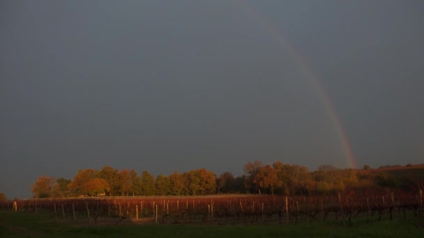 Gewitterwolken Und Regenbogen Über Den Weinbergen Von Bordeaux Frankreich — Stockvideo