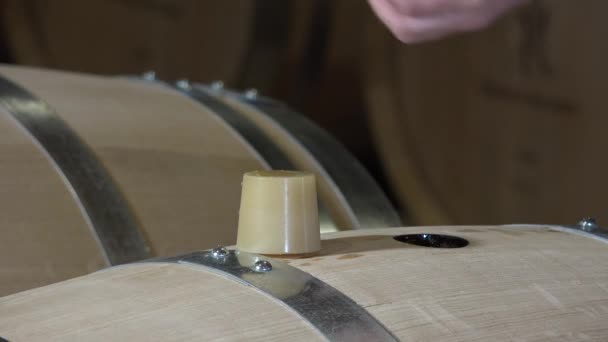 Enólogo Fazendo Vinho Barrel Adega Adega Gironde França — Vídeo de Stock