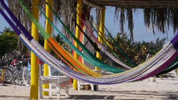 Houpací síť v horké léto na pláži Mexiko — Stock video