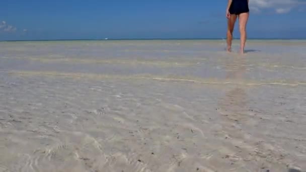 Hermosa playa de arena, Holbox, México — Vídeos de Stock