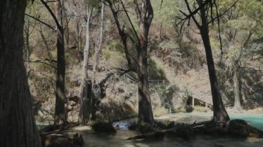 Agua Azul, Chiapas 'ta Misol-ha Şelalesi 'nin Birdseye görünümü