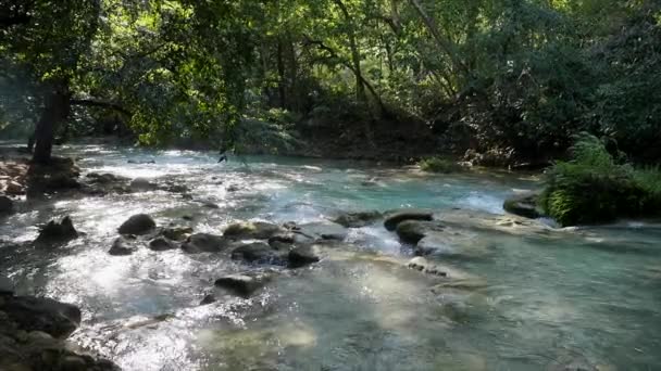 Cascade de Novia cachoeira é a maior das cachoeiras Chiflon, México — Vídeo de Stock