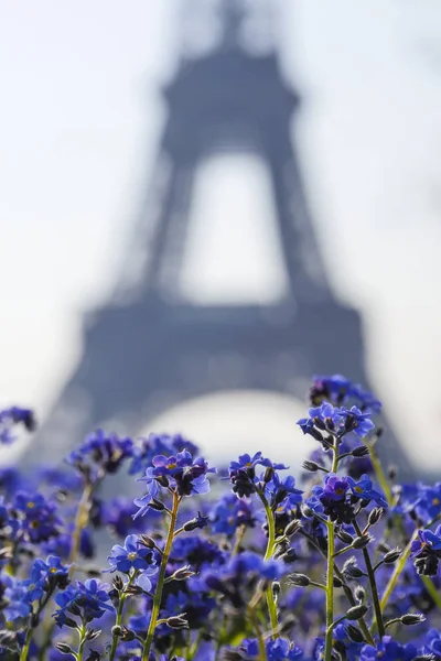 Wieża Eiffla i niebieskie kwiaty, Paryż — Zdjęcie stockowe