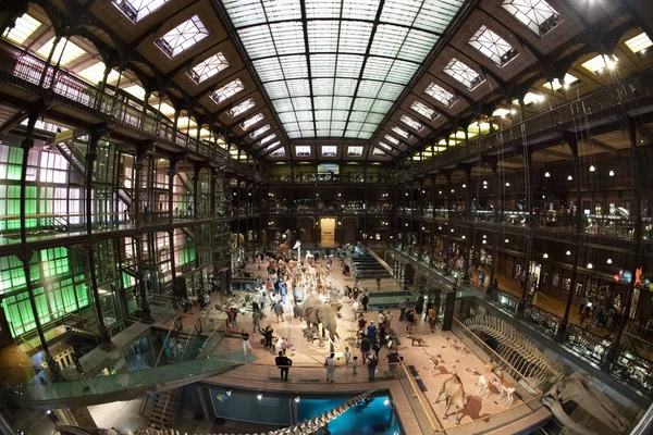 Paris, Fransa - 14 Ağustos 2019 Doğa Tarihi Müzesi, Büyük