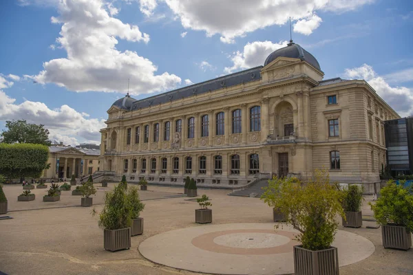 PARIS, FRANÇA - 14 de agosto de 2019 Museu de História Natural, Grande Galeria de Evolução rastreando elefantes de tiro para girafas — Fotografia de Stock