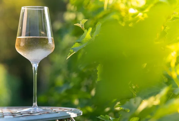 Glas droge Witte wijn op tafel in wijngaard — Stockfoto