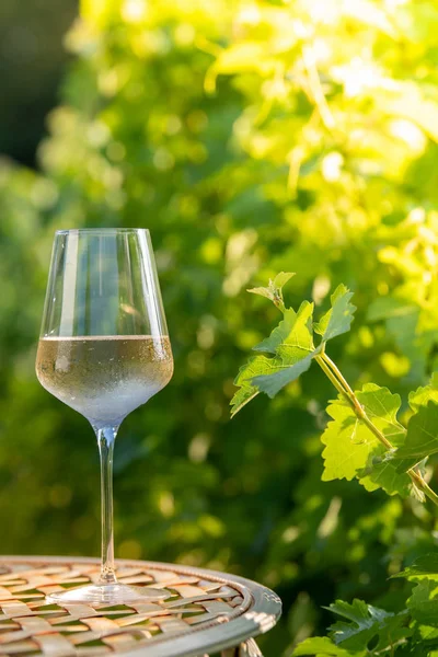 Vidro de vinho branco seco em cima da mesa na vinha — Fotografia de Stock