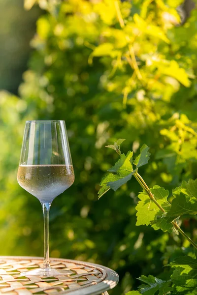 Glas droge Witte wijn op tafel in wijngaard — Stockfoto