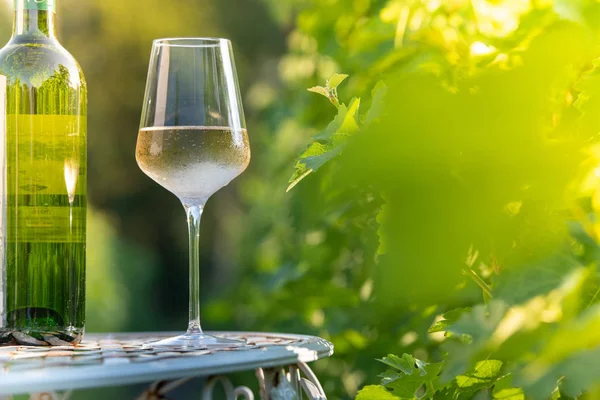Склянка сухого білого вина на столі в винограднику Ліцензійні Стокові Фото