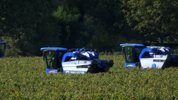 Четыре машины для сбора винограда, Бордо Виньярд — стоковое видео