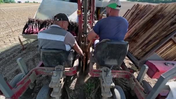 FRANÇA, JUNHO 03. 2020, VINHO PLANTING SITE COM TRATADOR ORIENTADO LASER,, BORDEAUX VINEYARD — Vídeo de Stock