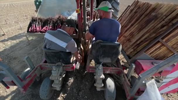 FRANSA, Haziran 03. 2020, asma planlama alanı lazer rehberli traktör, Bordeau VINEYARD — Stok video