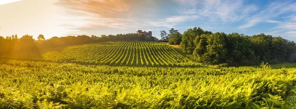 Panorama tramonto, Cantina di Bordeaux, Chateau de Lacaussade, Baurech, Francia — Foto Stock