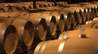 Şarap Mahzeninde Variller Bordeaux Şaraphanesi, Fransa