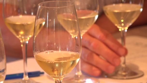 Copas de cata de vino, vino blanco — Vídeo de stock