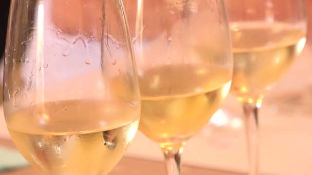 Wine tasting glasses, white wine — Stock Video