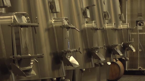 Şarap, modern şarap fabrikası fermantasyon için yeni büyük tanklar. — Stok video
