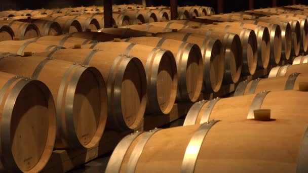Βαρέλια σε Κελάρι κρασιού-Μπορντό Wineyard, Γαλλία — Αρχείο Βίντεο