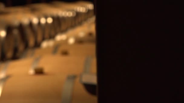 Barils dans la cave à vin Bordeaux Wineyard, France — Video