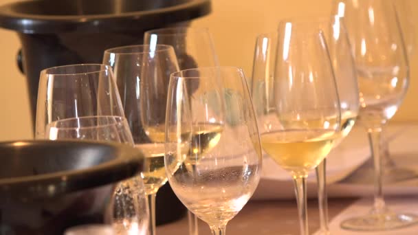 Kieliszki do degustacji wina, białe wino — Wideo stockowe