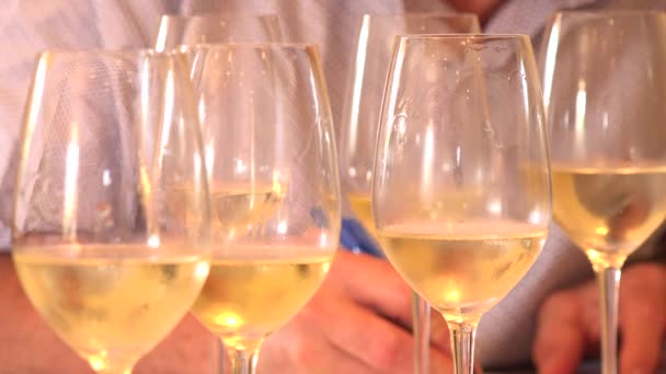 Wine tasting glasses, white wine — Stock Video