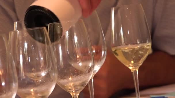 Copas de cata de vino, vino blanco — Vídeo de stock