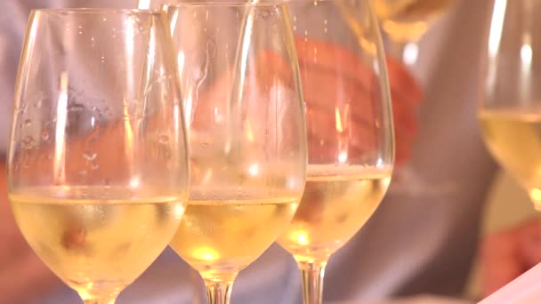 Wine tasting glasses, white wine — Stock Video
