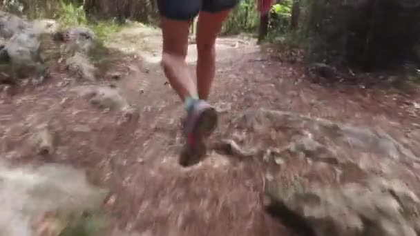 Caminante mujer camina por el sendero en el País Vasco — Vídeos de Stock