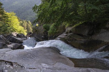 Pirenelerdeki yemyeşil ağaçların çerçevelediği pürüzsüz kayaların üzerinden büyüleyici bir şelale akar ve Pont dEspagne yakınlarındaki çevrenin huzur dolu özünü yakalar..