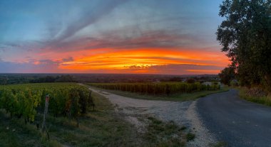 Güneş batarken, gökyüzü turuncu ve pembe renkli canlı tonlara dönüşür. Üzüm sıraları araziye yayılarak huzur verici bir manzara yaratıyor..